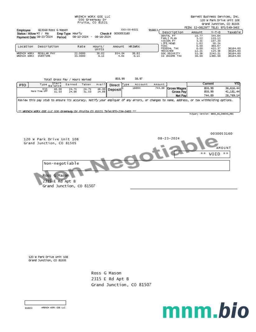 Barrett Business Services employee pay stub template w formatach Word i PDF